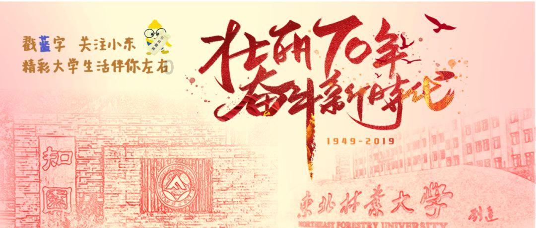 狐狸的旅程